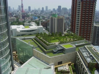 Tokyo-Roof-Park-000000132606_Medium